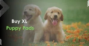 XL Puppy pads