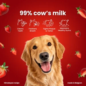 Strawberry Cheese Bones for Dogs Small Feature 