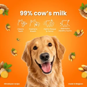 Turmeric cheese bones for dogs small Feature