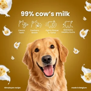 Feature cheese bones for dogs regular small