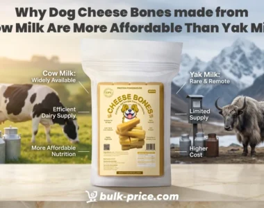 dog cheese bones